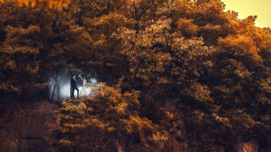 Fotografo di matrimoni Chen Tang (chentang). Foto del 27 maggio 2017