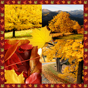 Autumn Photo Collage  Icon