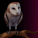 Pottermore Theme