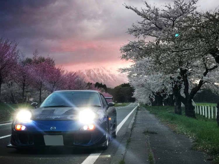 RX-7のFD3S・RX-7・桜と愛車・一本桜・岩手に関するカスタム事例の投稿画像1枚目