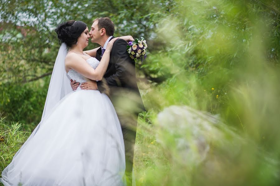 Photographe de mariage Andrey Kiselev (andkiselev). Photo du 20 février 2016