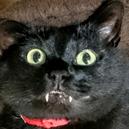 いさぽんのプロフィール画像