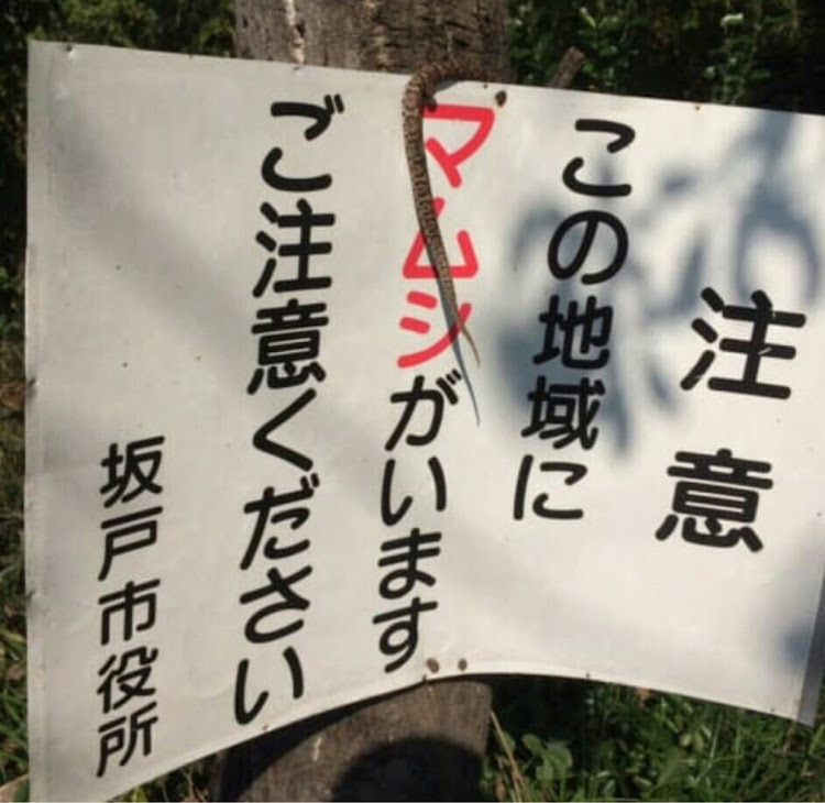 まっちゃん！！さんが投稿したマムシ・注意に関するカスタム事例の投稿画像1枚目