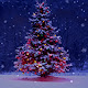 Christmas Tree in Snow [LSP]