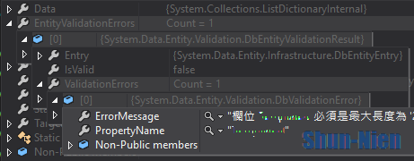 DbEntityValidationException