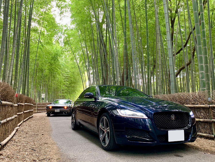 XFの新春コラボ・ちたの竹林・いつものカフェ☕️から・KEN POWER・チャレンジャーに関するカスタム事例の投稿画像1枚目