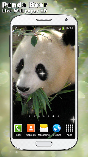 Panda Bear Live Wallpaper HD