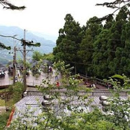 台灣農林熊空茶園