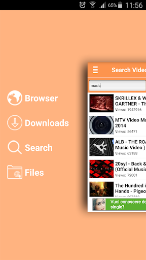 VIDEO downloader