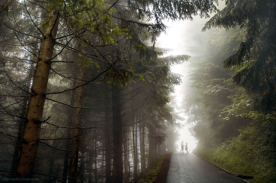 Vestuvių fotografas Ciprian Biclineru (ciprianbiclineru). Nuotrauka 2019 vasario 12