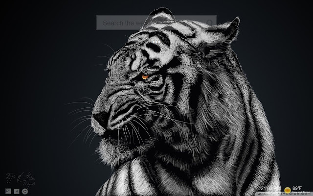 Download 460 Koleksi Gambar Harimau Hd Paling Baru 