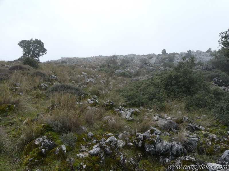 Ubrique - Puntal de la Raya