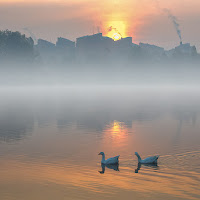 nebbia al mattino sul laghetto di 