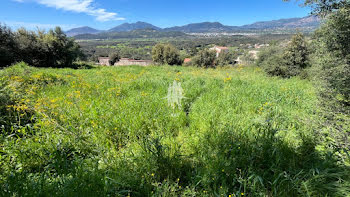 terrain à Bastelicaccia (2A)