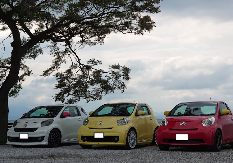 iQのカルガモツーリング・琵琶湖ツーリング・新緑と愛車に関するカスタム事例の投稿画像2枚目