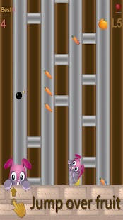 Free Happy Bunny-Tunnel Surf APK for Android
