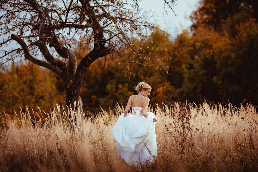 Fotógrafo de bodas Viktoriya Petrenko (vi4i). Foto del 14 de enero 2013