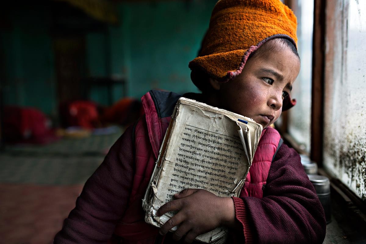 Book  di Alessandro Bergamini