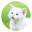 Persian cats HD New Tabs Popular Pets Themes