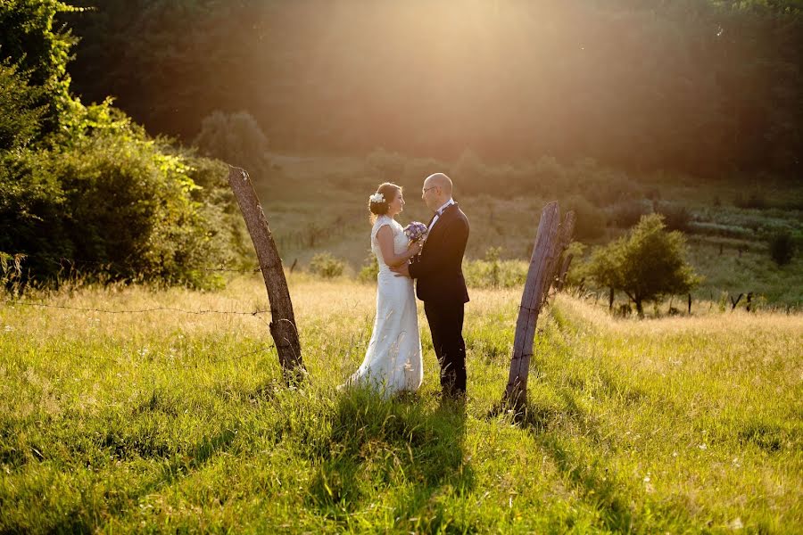 Fotógrafo de bodas Olga Laznikova (4ina). Foto del 1 de julio 2013