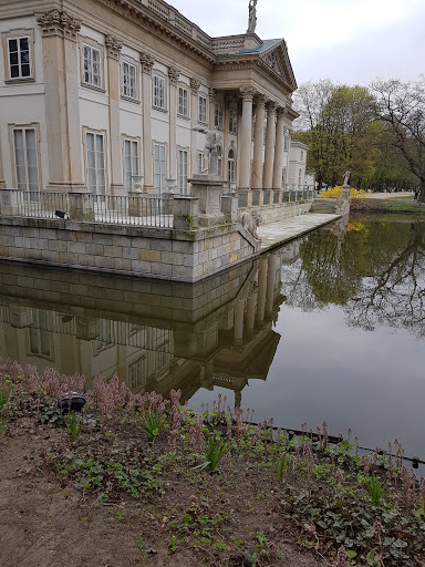 Staw w Parku Łazienkowskim