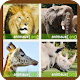 Download Learn All Name Animal For PC Windows and Mac 1.4