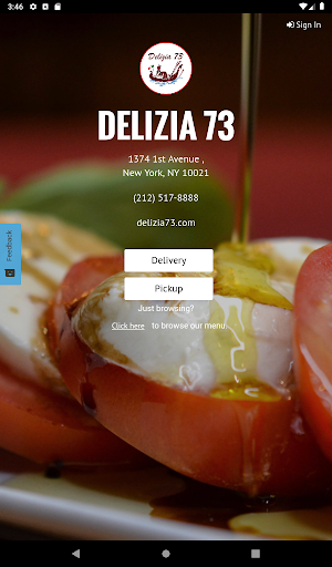 Delizia 73