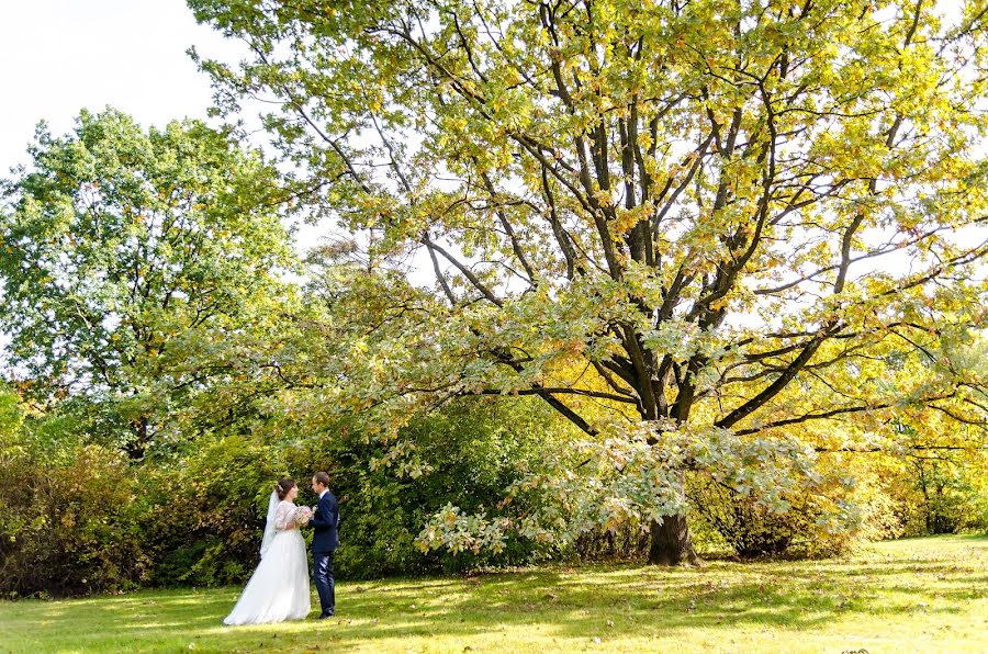 Wedding photographer Andrey Bashkircev (belaruswed). Photo of 28 June 2017