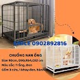 [Mới Về] Chuồng Chó Nan Ống Cao Cấp Sơn Tĩnh Điện Size 90Cm (90X64X82Cm) Dành Cho Thú Cưng Lớn, Chó, Mèo Lớn