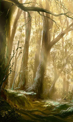 forest hd live wallpaper