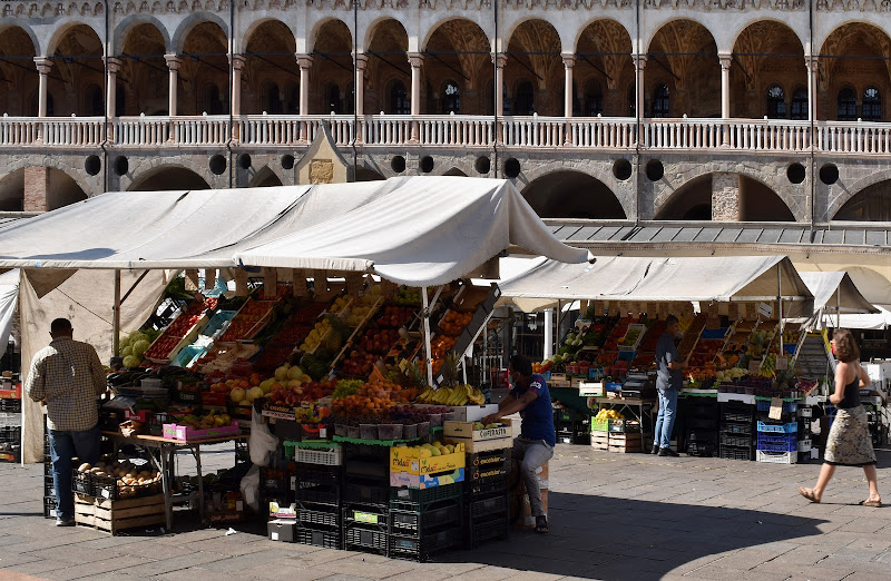 i colori di frutta e verdura di renzo brazzolotto