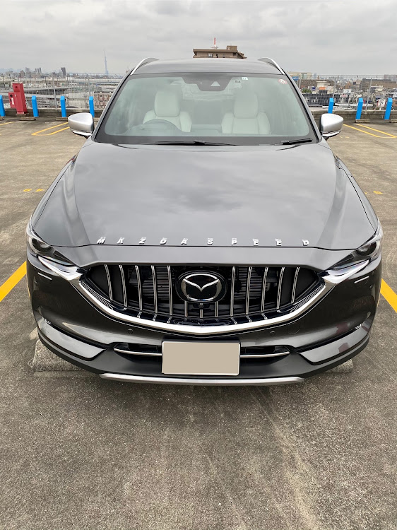 CX-8のhamapon0さんが投稿したカスタム事例の投稿画像2枚目