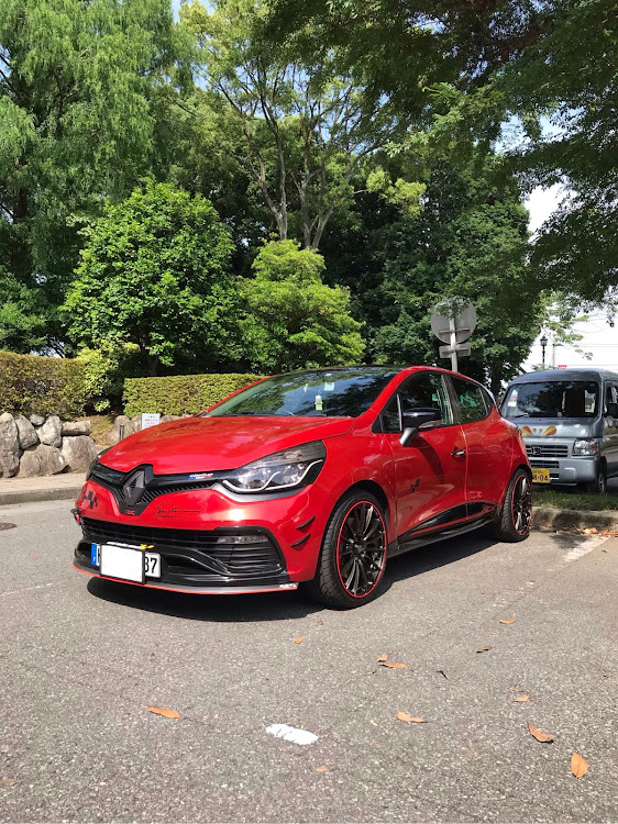 ルーテシアの洗車した！・ルージュフラム・公園散策に関するカスタム事例の投稿画像5枚目