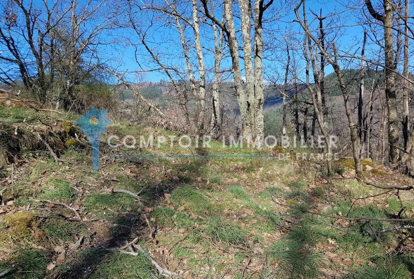  Vente Terrain à bâtir - 1 567m² à Le Cheylard (07160) 