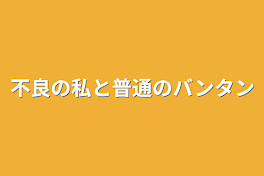 不良の私と普通のバンタン