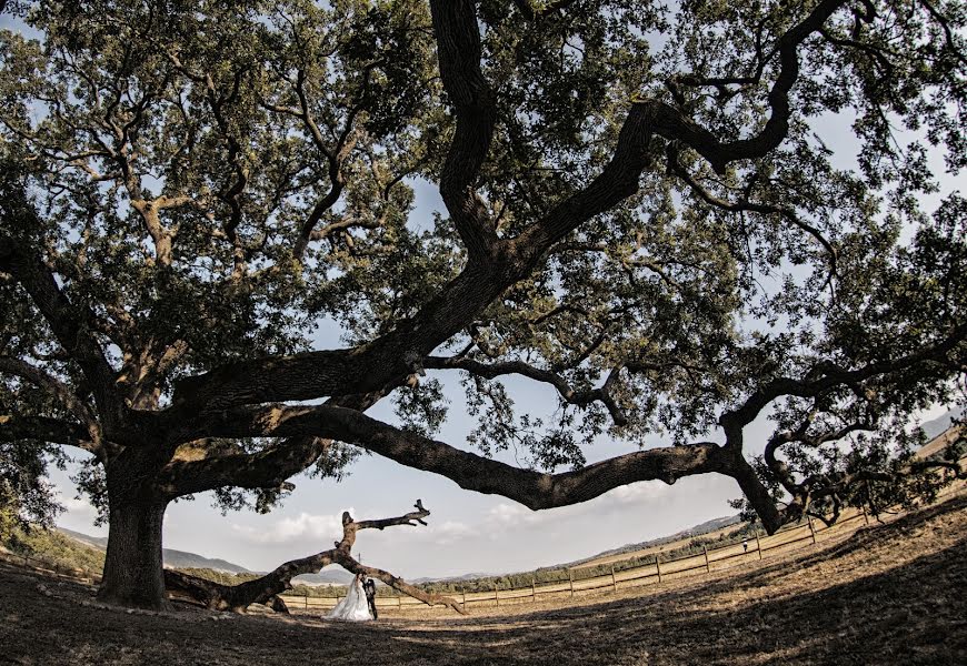 Fotógrafo de bodas Emanuele Vignaroli (vignaroli). Foto del 19 de julio 2015