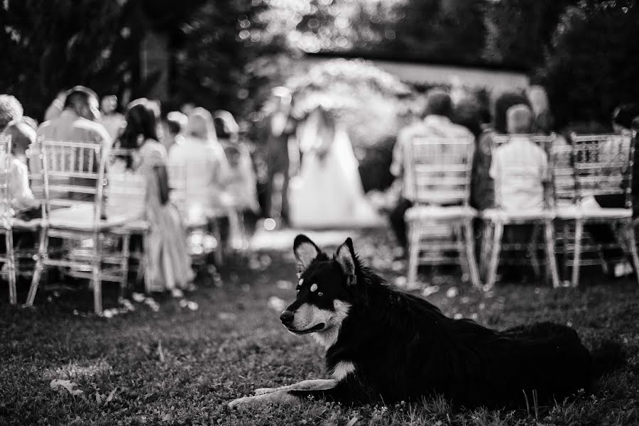 Fotógrafo de casamento Maksim Alekseevich (maksalex). Foto de 7 de agosto 2020