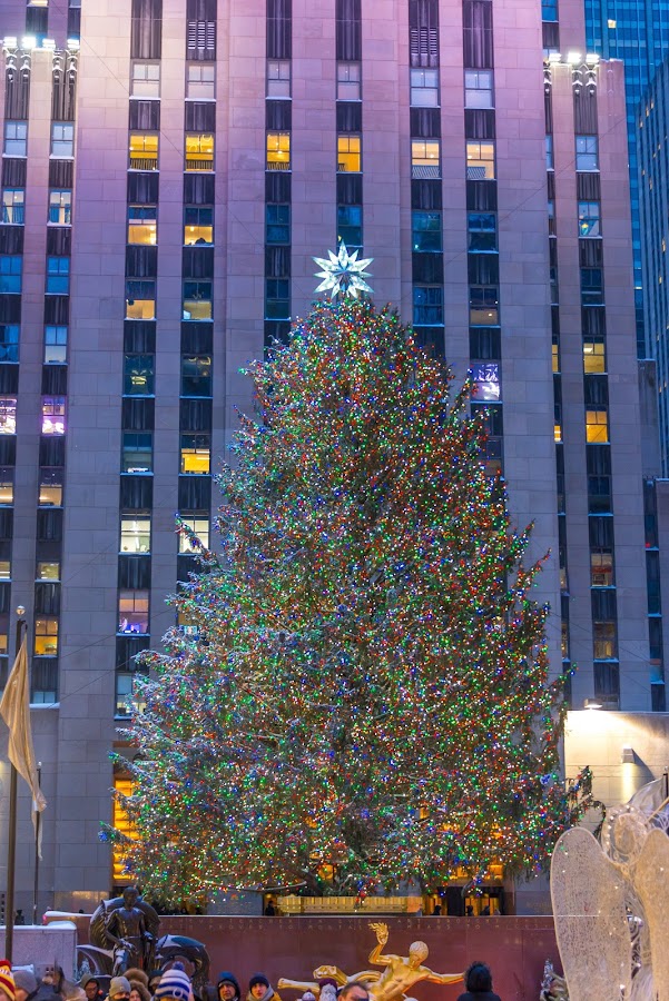 New York City в картинках. Фотоотчет по нескольким поездкам