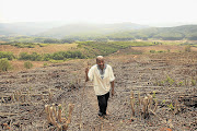 Kgoshi Mokopa Makgoba, head of the royal house, says he is not allowed to visit the tribe's farms Picture: KATHERINE MUICK-MERE