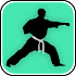 Learn Kung Fu Techniques5.0