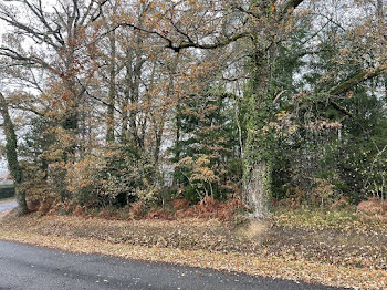 terrain à Saint-Léonard-de-Noblat (87)