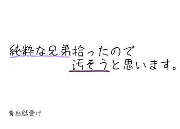 純粋な兄弟を拾ったので汚そうと思います。