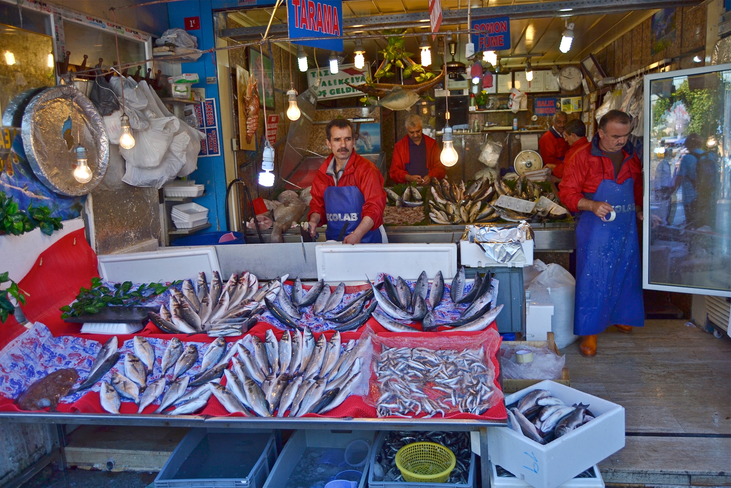 Pesce, pesce fresco !!!!!! di giuseppedangelo