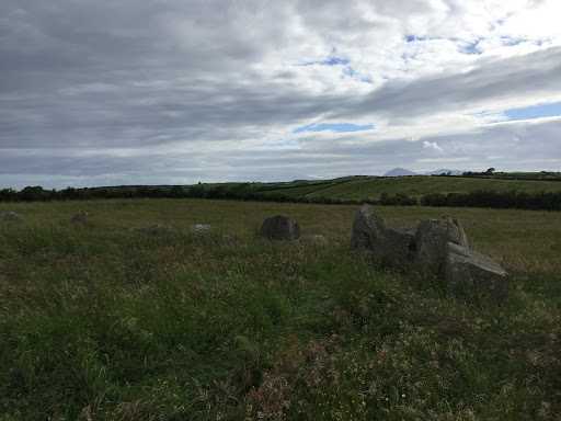 Ballynoe standing Stone Circle