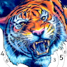 Animal Paint by Number Game icon