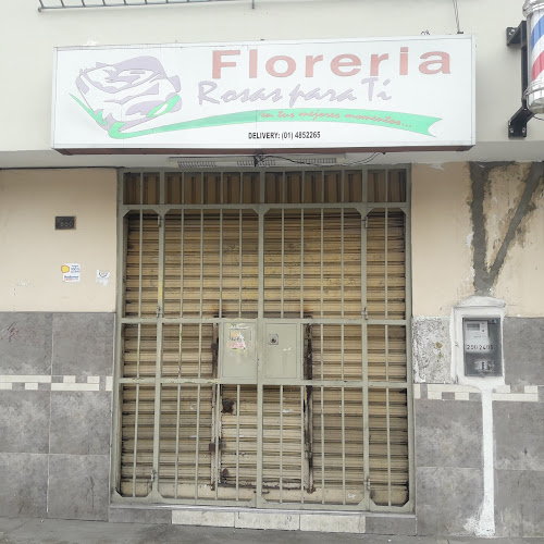 Florería Rosas para Ti