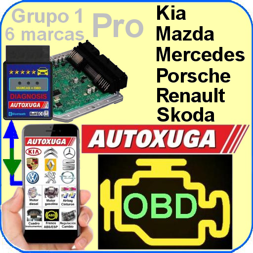 App Diagnosis PRO Mercedes Renault Kia Skoda Mazda