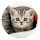 Kitten Popular Animals HD New Tabs Theme