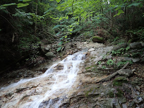 対東沢も水量多いが