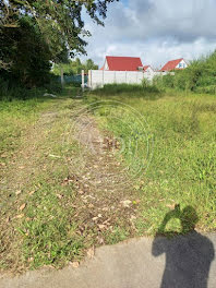 terrain à Le morne rouge (972)